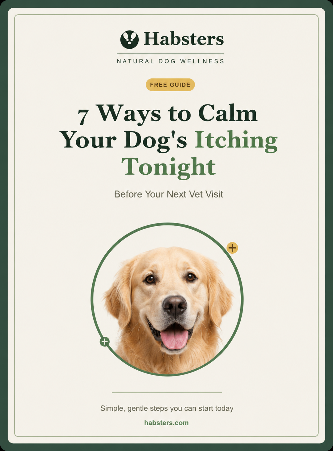 7 Ways to Calm Your Dog's Itching Tonight