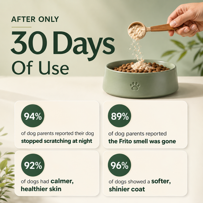 Vet-Formulated Gut Support