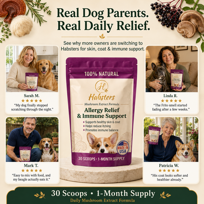 Vet-Formulated Gut Support