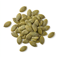 Pumpkin Seed