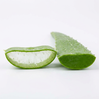 Aloe Vera Extract